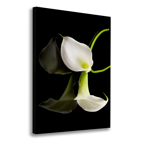 Verticaal canvasschilderij Witte calla
