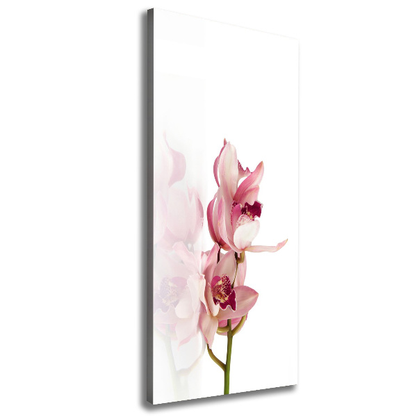 Verticale foto op canvas Roze orchidee