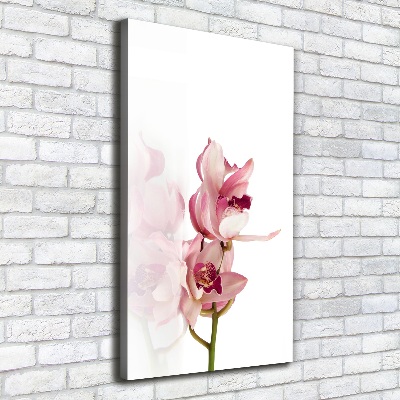 Verticale foto op canvas Roze orchidee