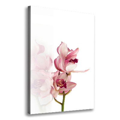 Verticale foto op canvas Roze orchidee