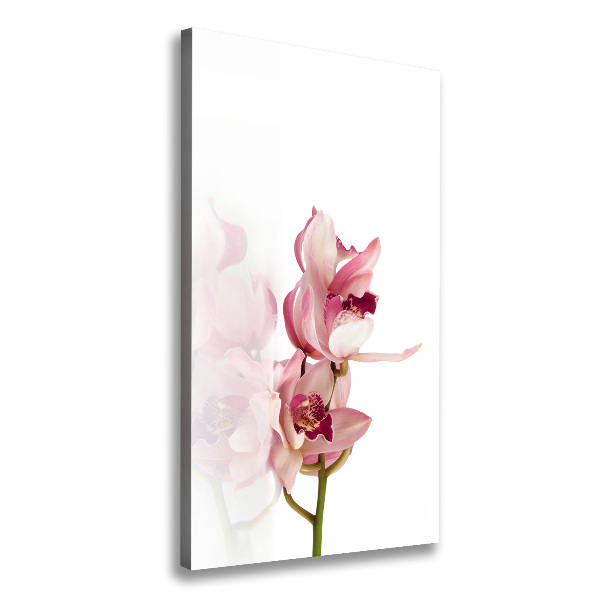 Verticale foto op canvas Roze orchidee