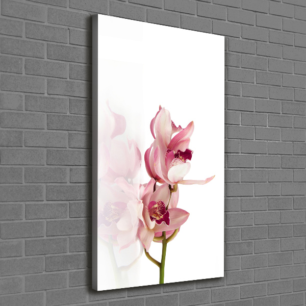 Verticale foto op canvas Roze orchidee