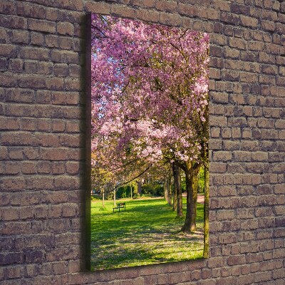 Foto obraz canvas pionowy Drzewa wiśni
