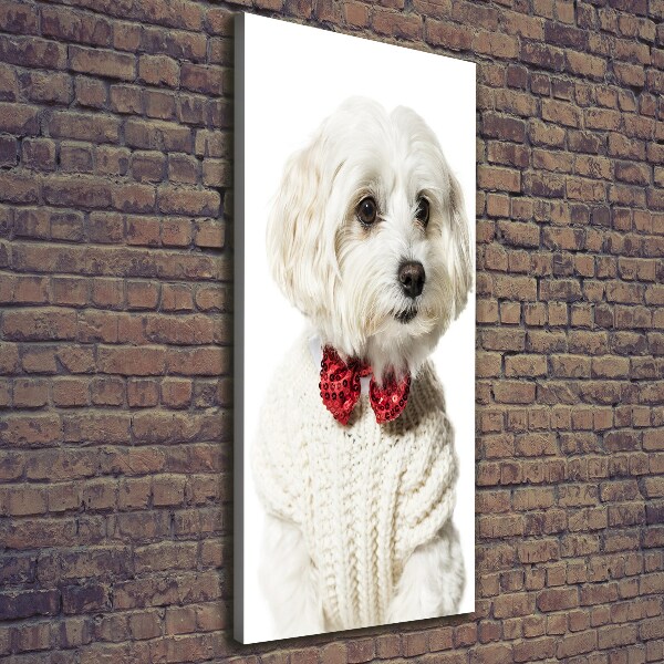 Verticaal canvasschilderij Maltezer met een vlinderdas