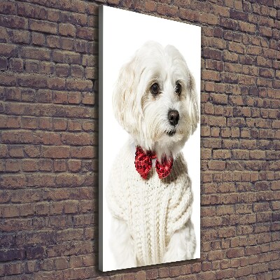 Verticaal canvasschilderij Maltezer met een vlinderdas