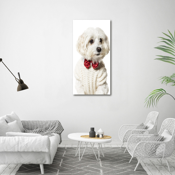 Verticaal canvasschilderij Maltezer met een vlinderdas