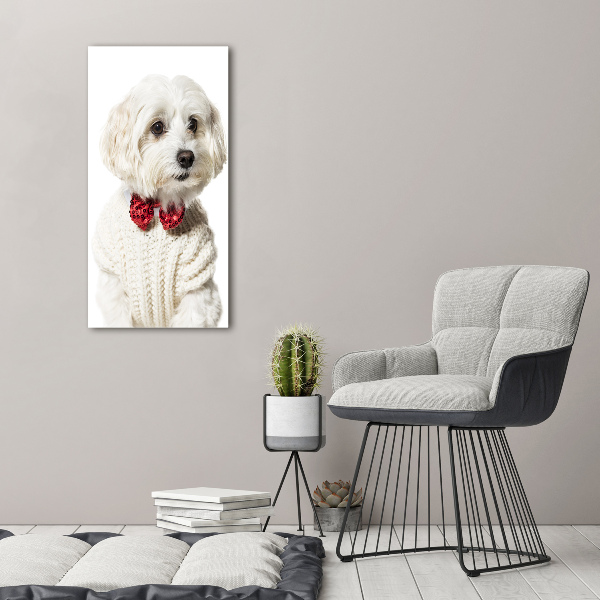 Verticaal canvasschilderij Maltezer met een vlinderdas