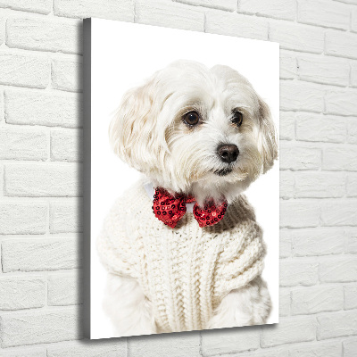 Verticaal canvasschilderij Maltezer met een vlinderdas