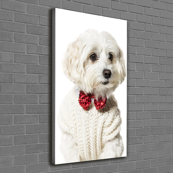 Verticaal canvasschilderij Maltezer met een vlinderdas