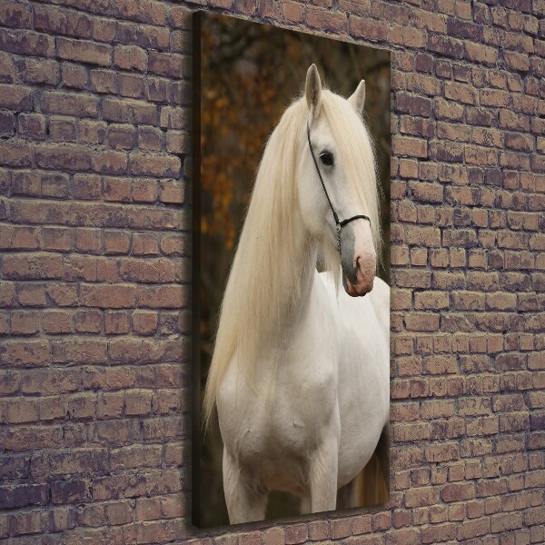 Verticaal schilderij op canvas Wit paard