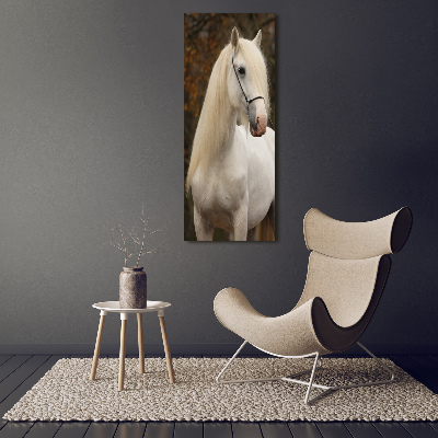 Verticaal schilderij op canvas Wit paard