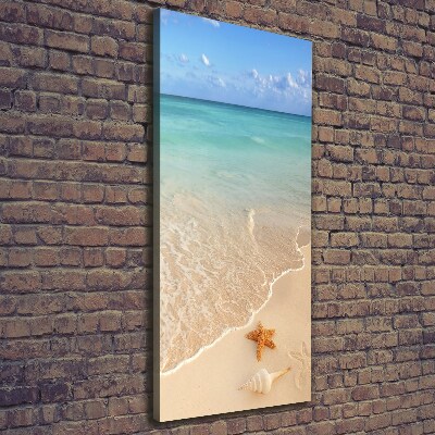 Verticale foto op canvas Zeesterren op het strand