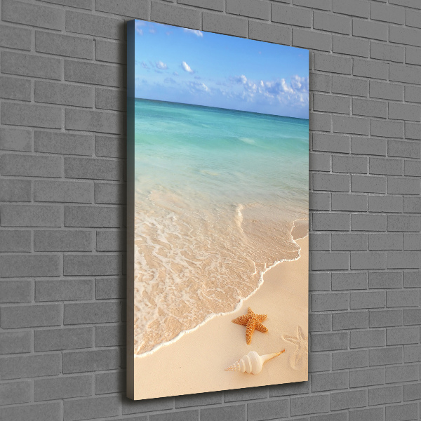 Verticale foto op canvas Zeesterren op het strand