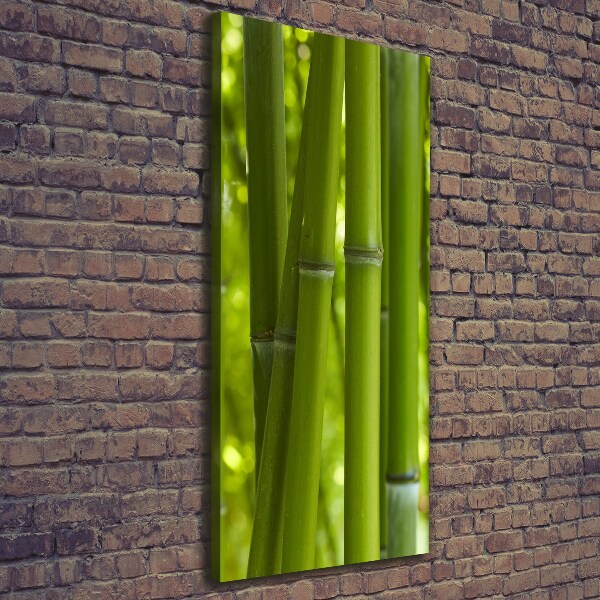 Verticaal schilderij op canvas Bamboebos