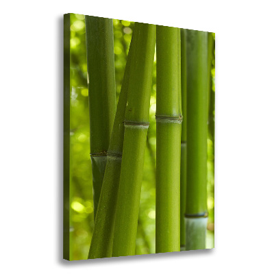 Verticaal schilderij op canvas Bamboebos