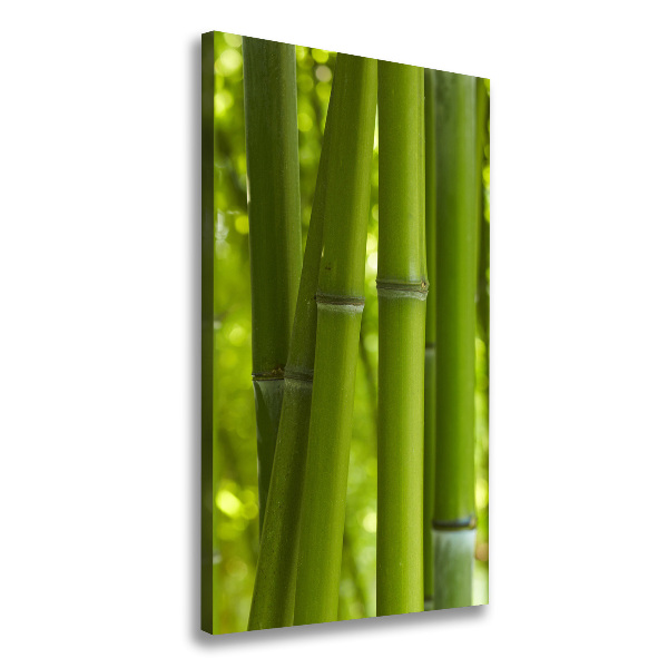 Verticaal schilderij op canvas Bamboebos