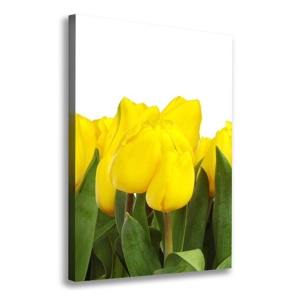 Verticale foto op canvas Gele tulpen