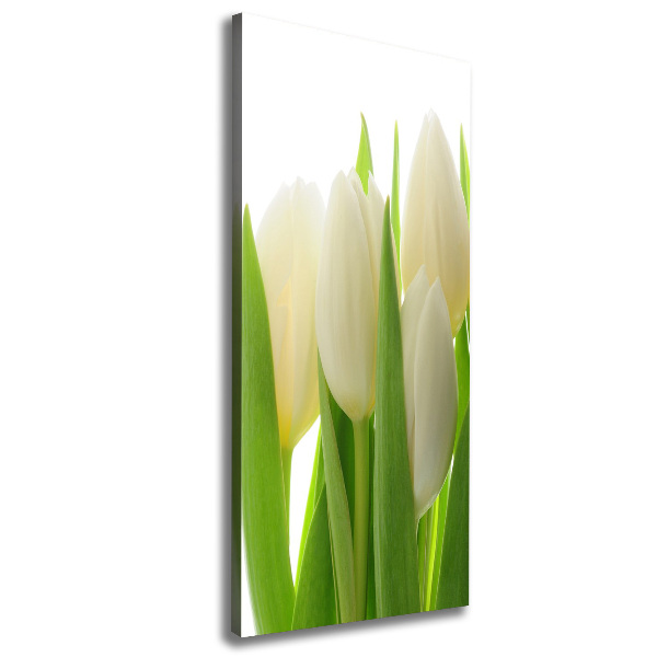 Verticale canvasfoto Witte tulpen
