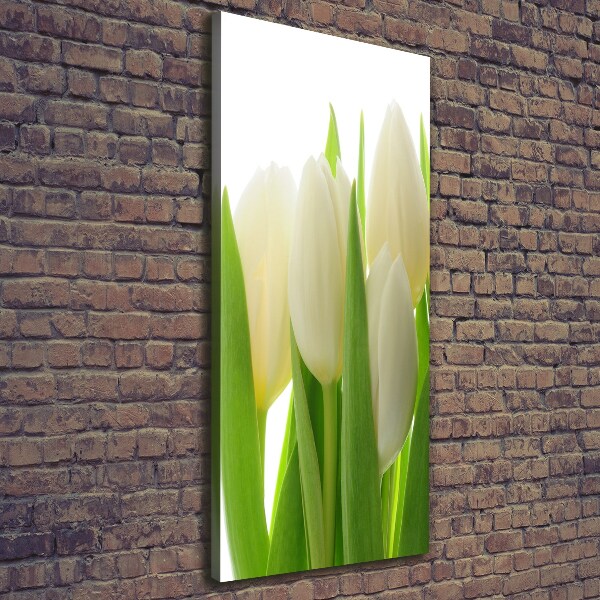 Verticale canvasfoto Witte tulpen