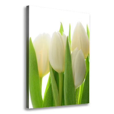 Verticale canvasfoto Witte tulpen
