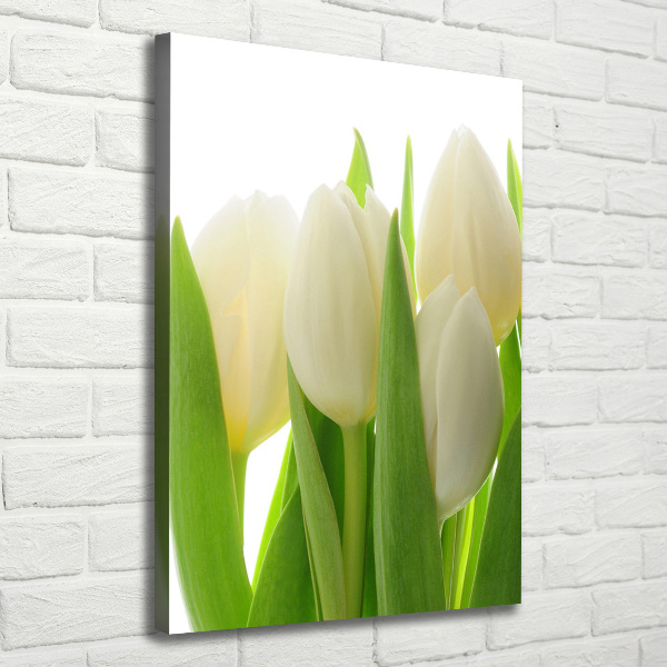 Verticale canvasfoto Witte tulpen