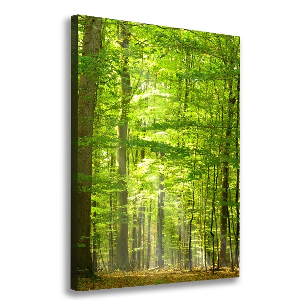 Verticaal canvasschilderij Beukenbos
