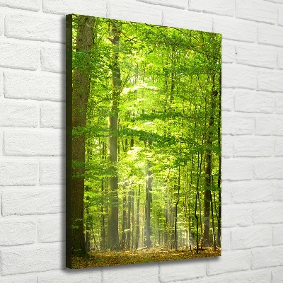 Verticaal canvasschilderij Beukenbos