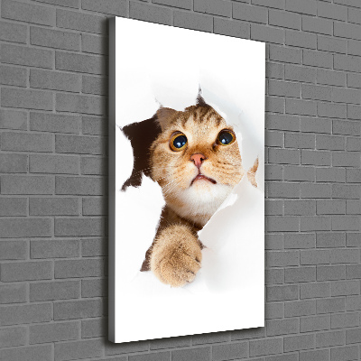 Verticale foto op canvas Kat