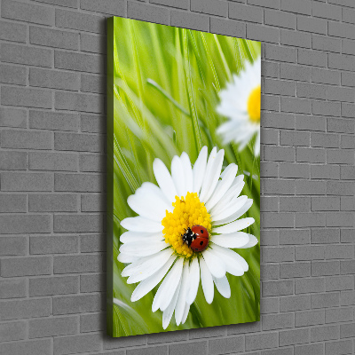 Verticale canvasfoto Madeliefjes