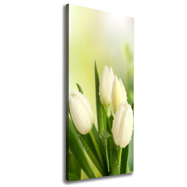 Verticaal canvasschilderij Witte tulpen