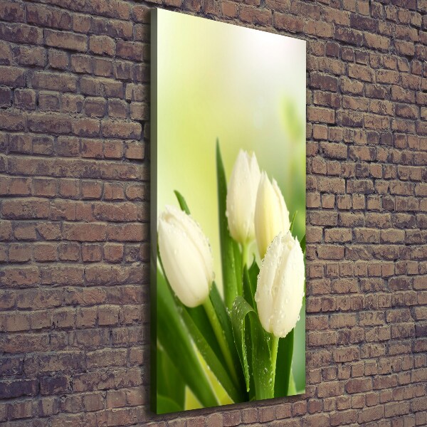 Verticaal canvasschilderij Witte tulpen