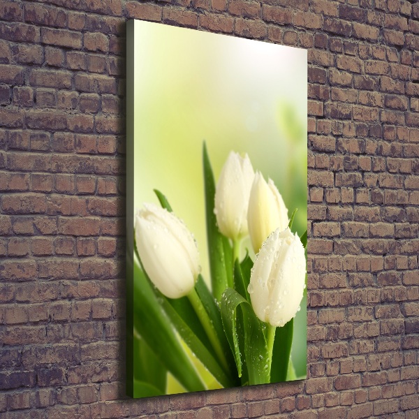Verticaal canvasschilderij Witte tulpen