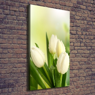 Verticaal canvasschilderij Witte tulpen