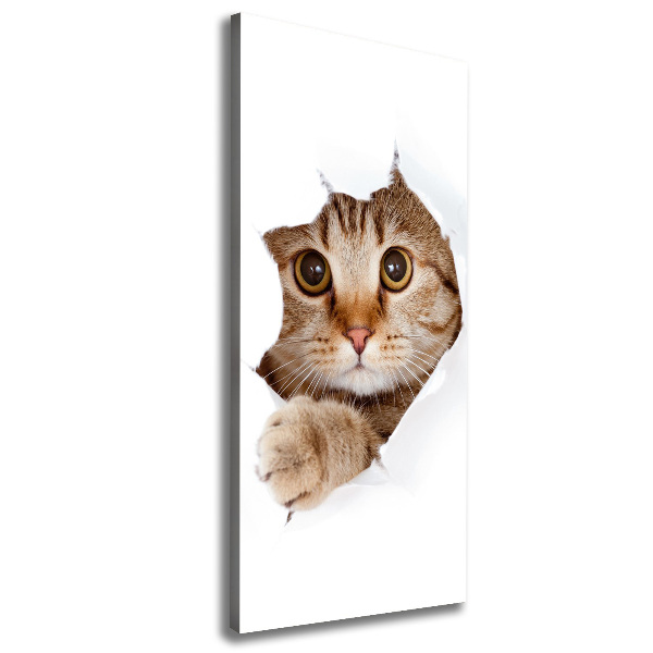 Verticaal schilderij op canvas Kat