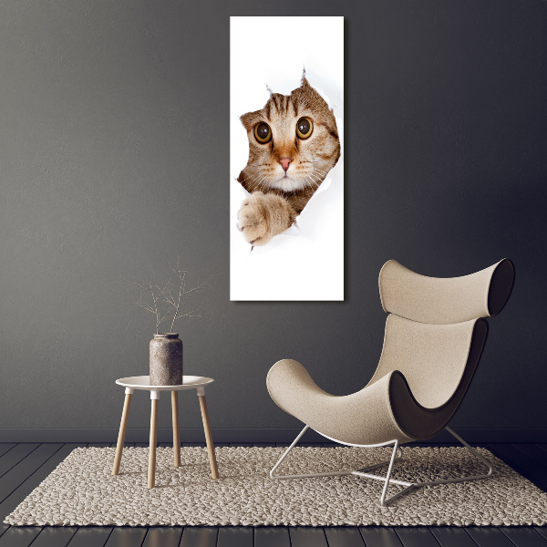Verticaal schilderij op canvas Kat