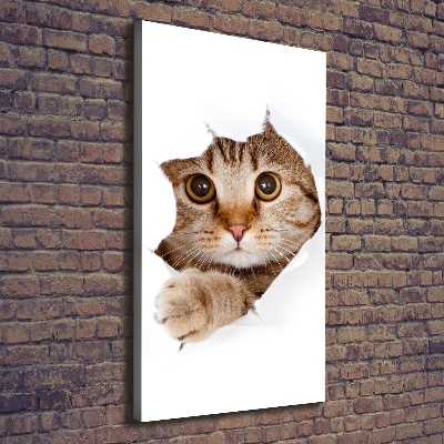 Verticaal schilderij op canvas Kat