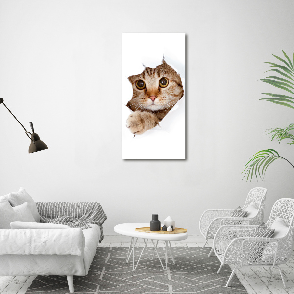 Verticaal schilderij op canvas Kat