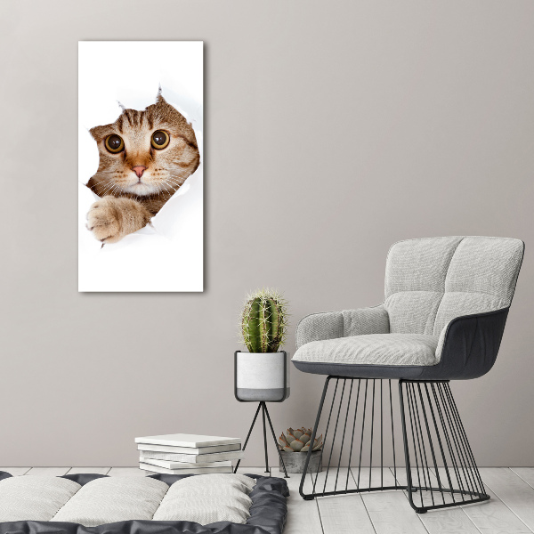 Verticaal schilderij op canvas Kat