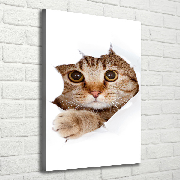 Verticaal schilderij op canvas Kat