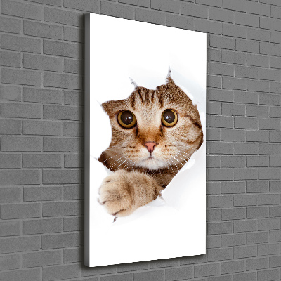 Verticaal schilderij op canvas Kat