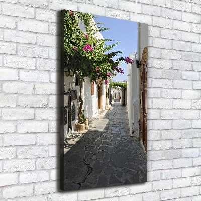 Verticale foto op canvas Een charmant pad