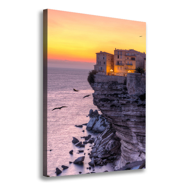 Verticaal schilderij op canvas Klifhuizen