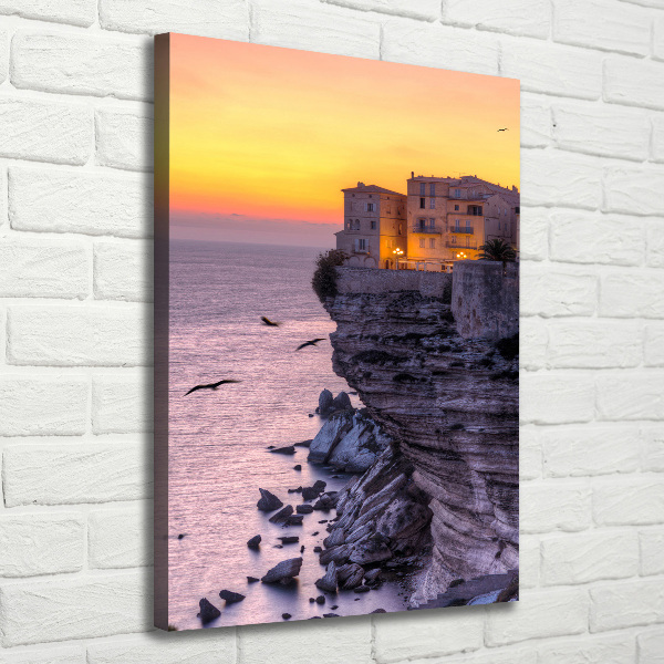 Verticaal schilderij op canvas Klifhuizen