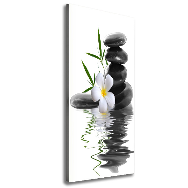 Foto obraz na płótnie pionowy Orchidea i kamienie