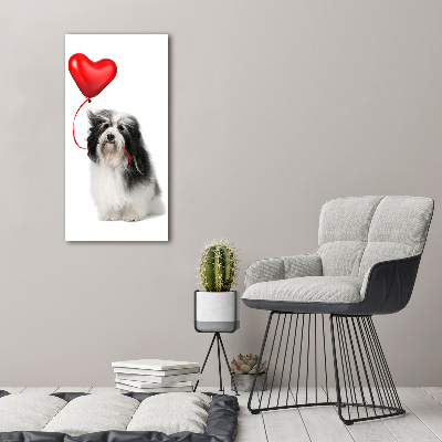 Verticaal canvasschilderij Havanese met een ballon