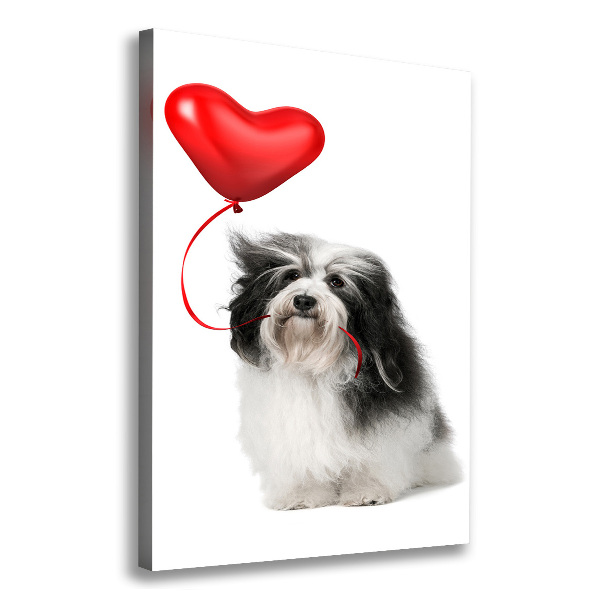Verticaal canvasschilderij Havanese met een ballon