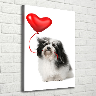 Verticaal canvasschilderij Havanese met een ballon