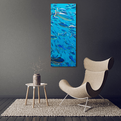 Verticale foto op canvas Koraalvis