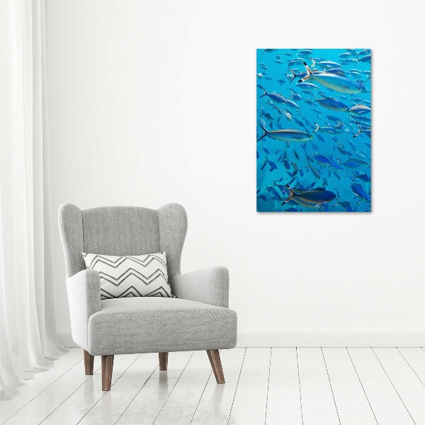 Verticale foto op canvas Koraalvis