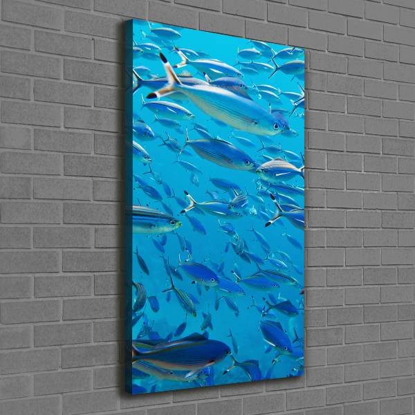 Verticale foto op canvas Koraalvis